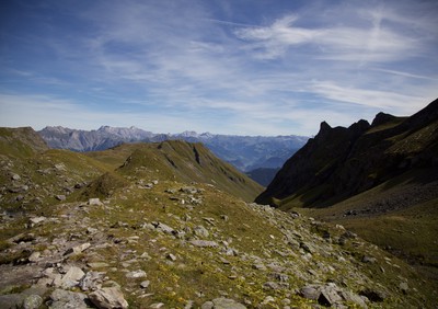 a view down a gulley (the left side lit by the sun, the other in shadow) leading to green forest in the background in the valley
