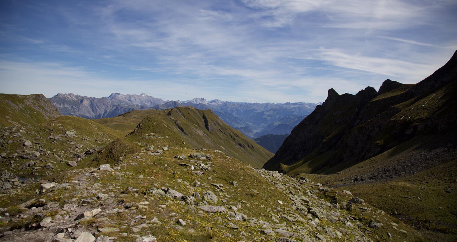 a view down a gulley (the left side lit by the sun, the other in shadow) leading to green forest in the background in the valley