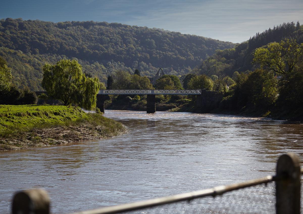 River Wye running under an old railway bridge in the middle of the forest; apex of Tintern Abbey visible