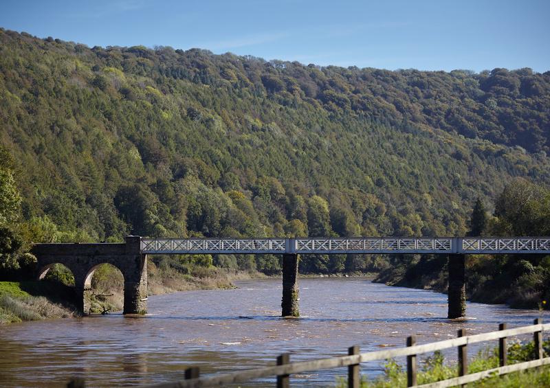 River running under an old railway bridge with a forest-covered hill in the background.