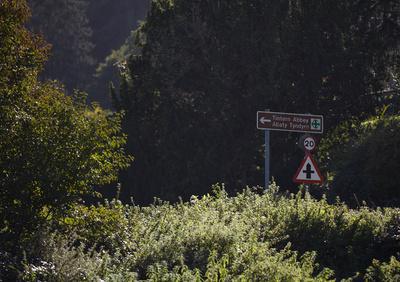 Brown tourist attraction road sign for Tintern Abbey surrounded by road-side trees and shrubs